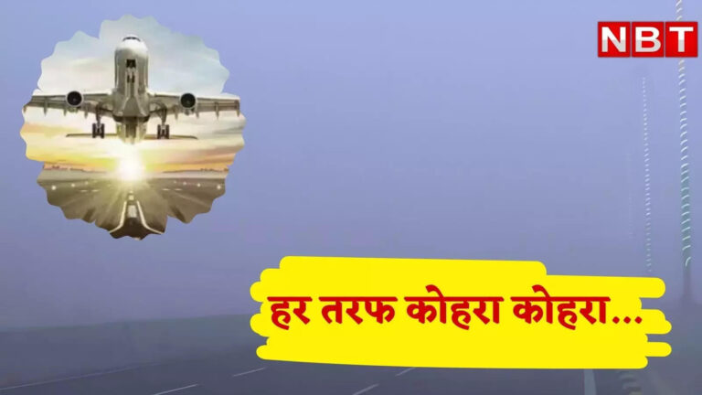 Delhi Weather: विजिबिलिटी @जीरो... शीतलहर के साथ कोहरा भी कर रहा परेशान, दिल्ली में देरी से उड़ान भर रहीं कई फ्लाइट्स