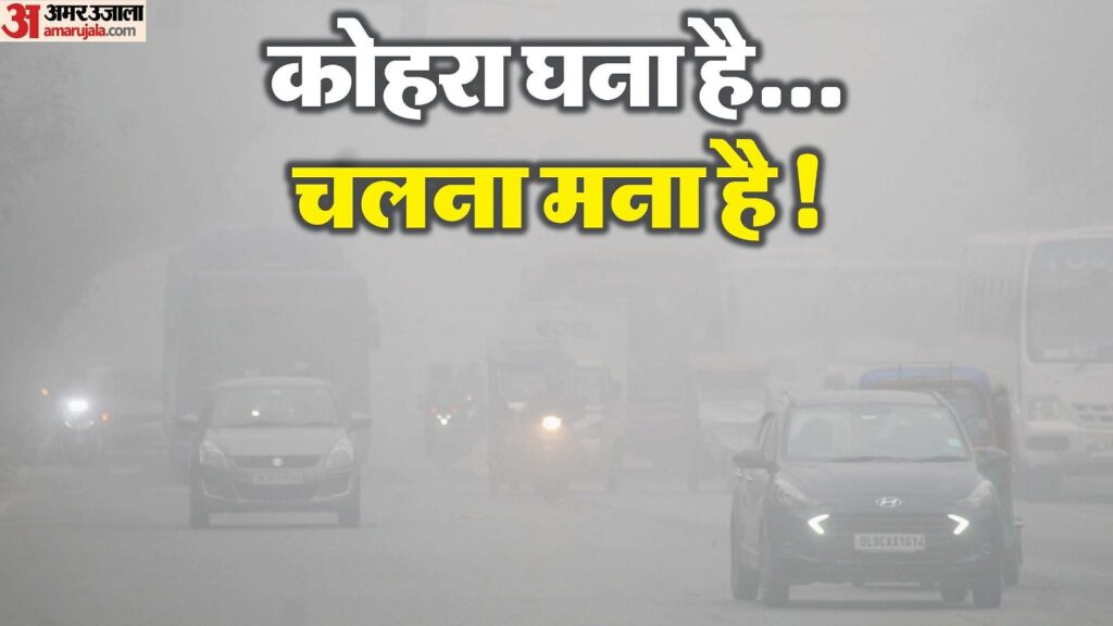 अब दिखा ठंड का प्रचंड रूप: ठंडी हवाओं ने बढ़ाई ठिठुरन, रविवार को घने कोहरे का यलो अलर्ट; फिर बरसेंगे बदरा